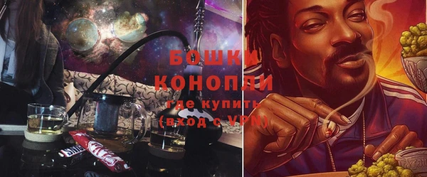 трава Бородино