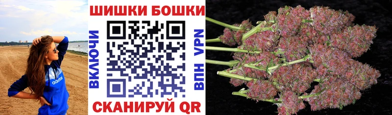 Бошки марихуана сатива  где купить наркоту  Ессентуки 